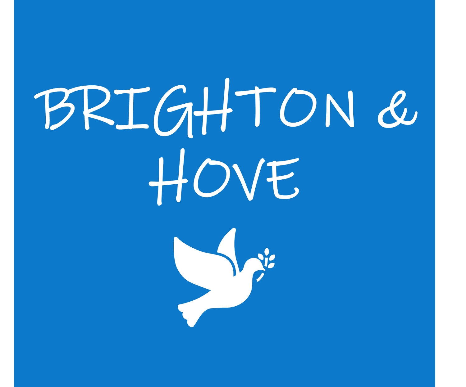 Brighton and Hove Albion Football Club
