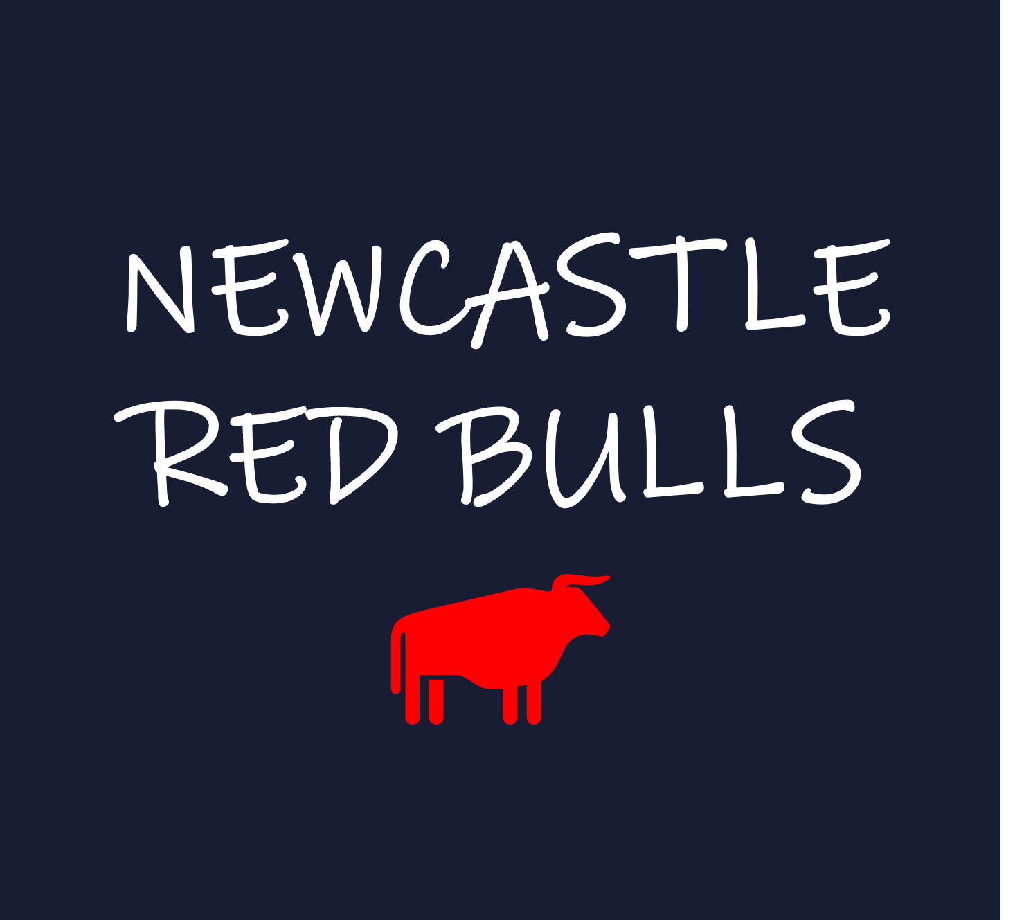 Newcastle Red Bulls Rugby Club